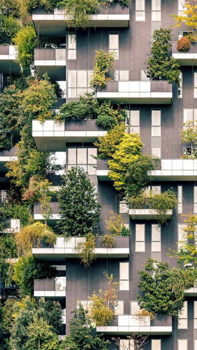 A gray building wall with balconies on which many trees and other plants are growing, making the wall appear very green.